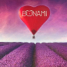 Логотип Bon Ami